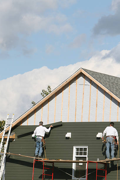 Best Vinyl Siding Installation  in Buena Vista, VA