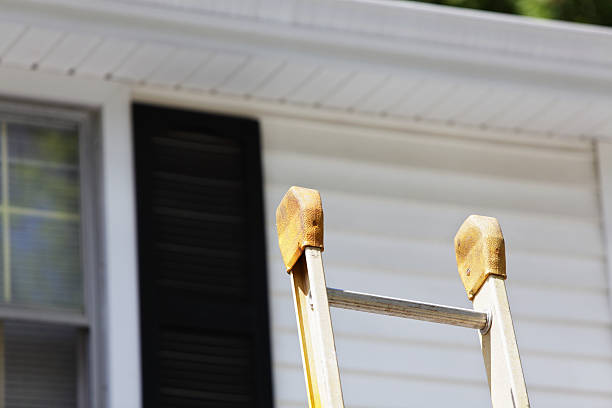 Best Custom Siding Design  in Buena Vista, VA